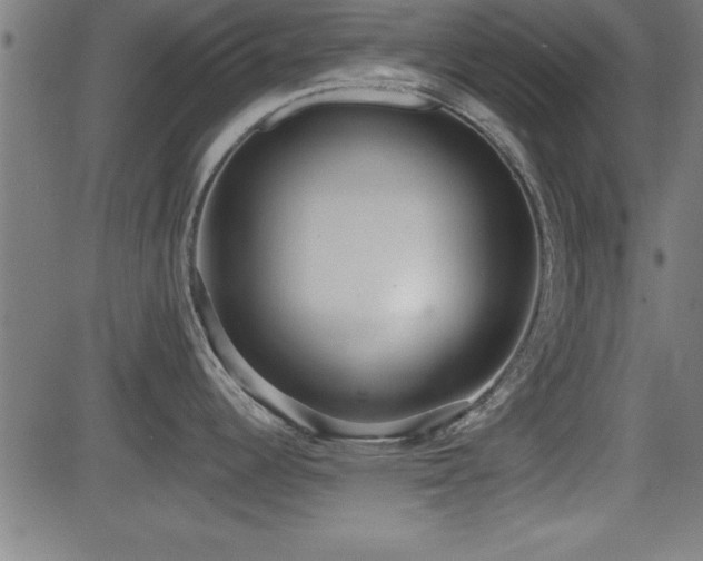 X0000081381344200701111442
