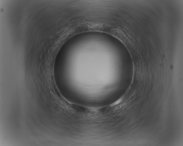 X0000081381345200701111442