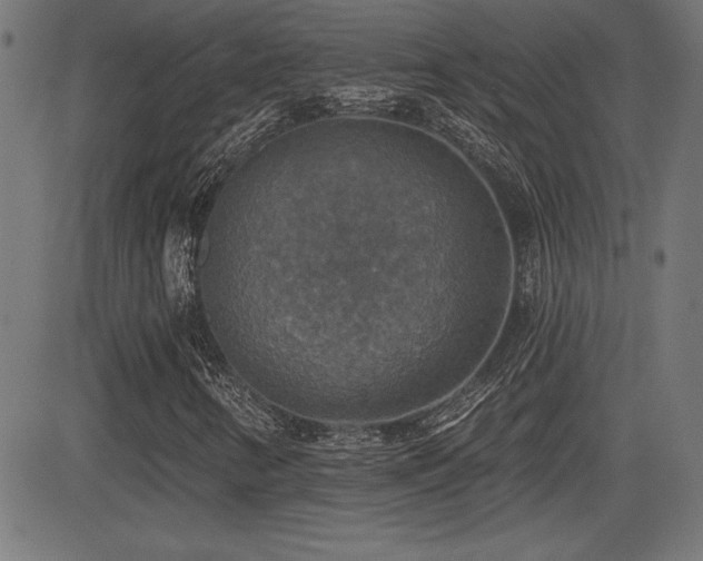 X0000081381346200701111442