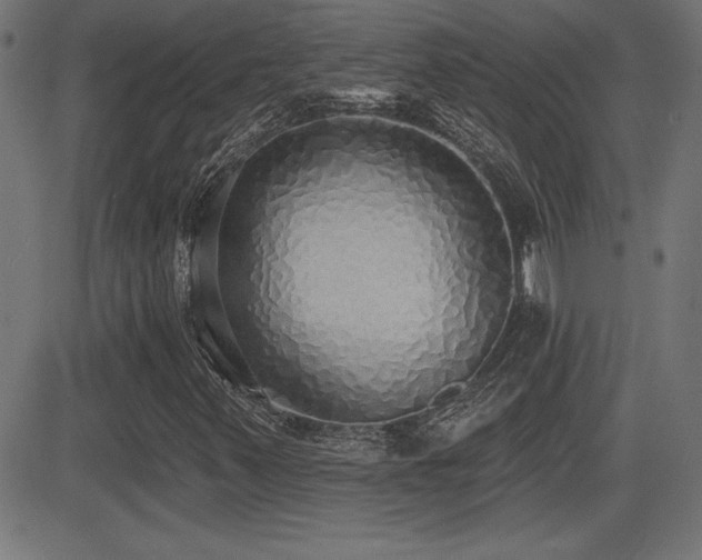 X0000081381347200701111442