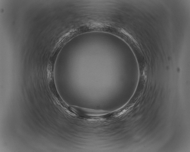 X0000081381348200701111442