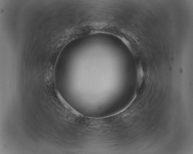 X0000081381349200701111442