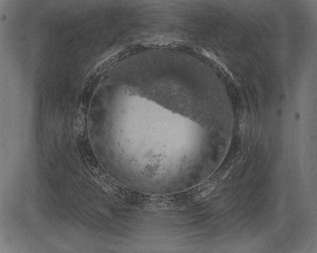 X0000081381350200701111442