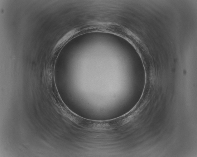 X0000081381354200701111442