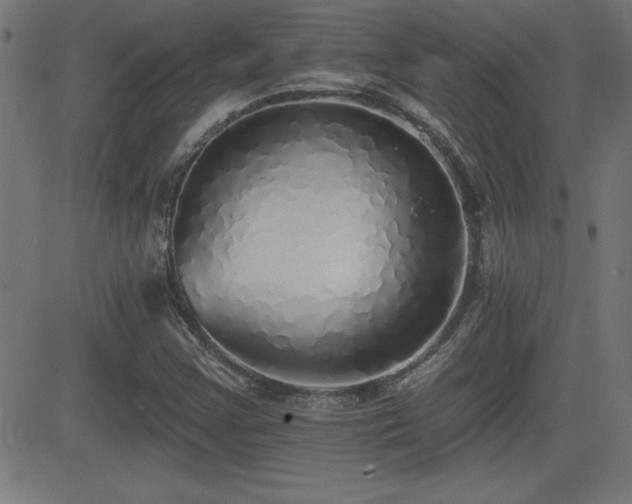 X0000081381355200701111442
