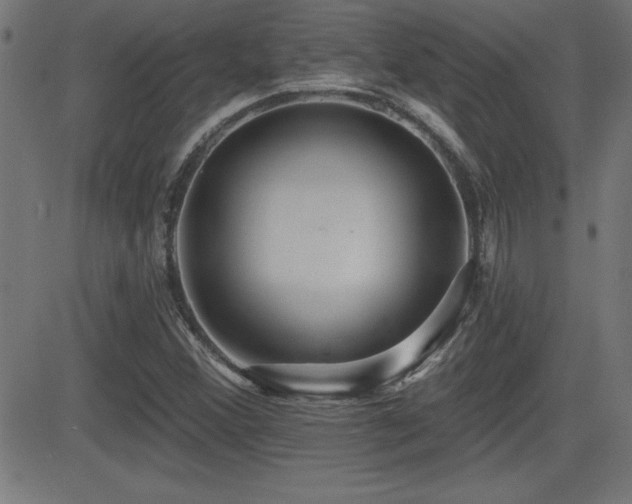 X0000081381356200701111441