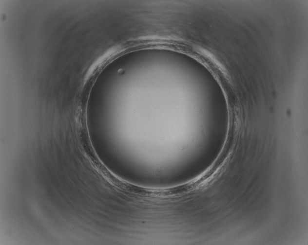 X0000081381357200701111441