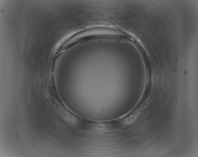 X0000081381359200701111441