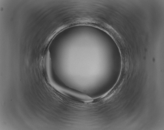 X0000081381361200701111441