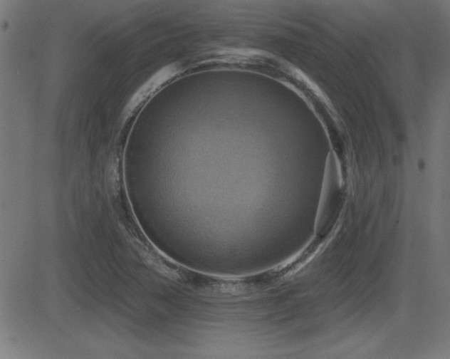 X0000081381362200701111441