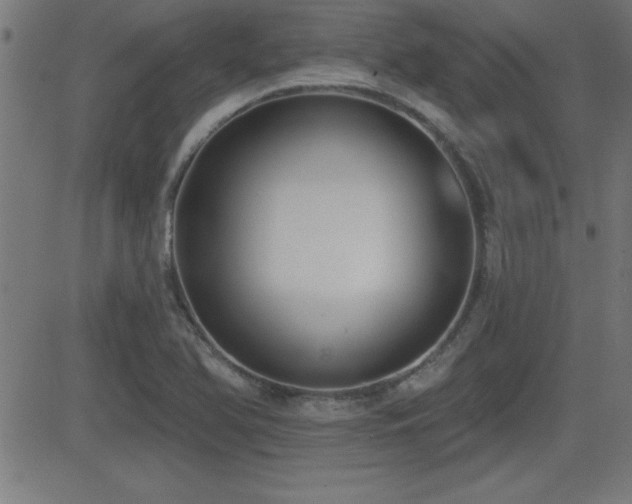 X0000081381366200701111441