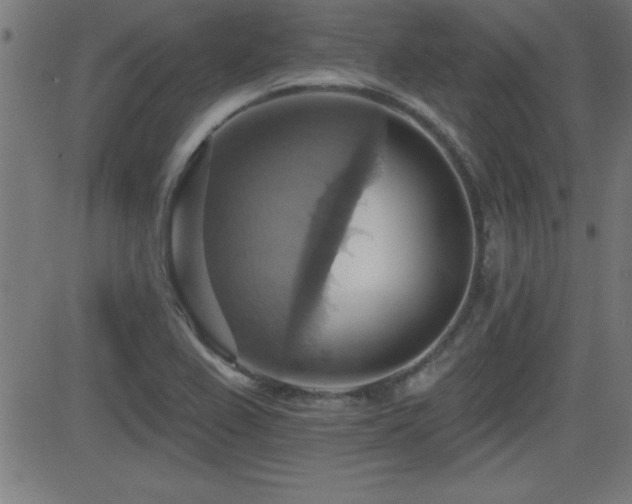 X0000081381367200701111441
