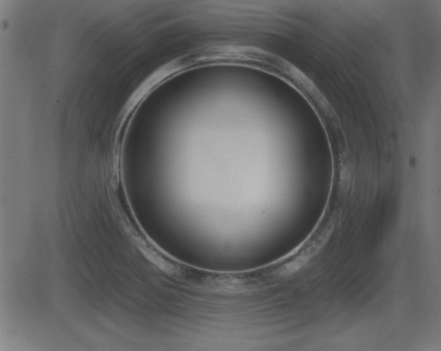 X0000081381370200701111441