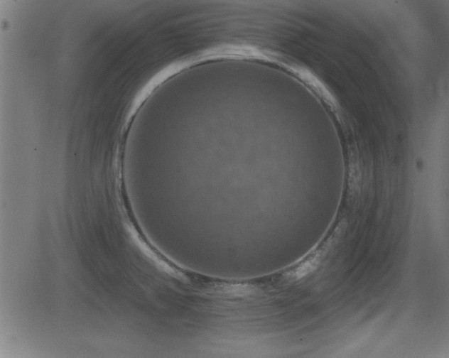X0000081381382200701111441