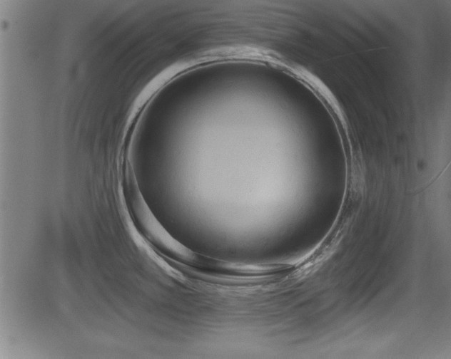 X0000081381389200701111441
