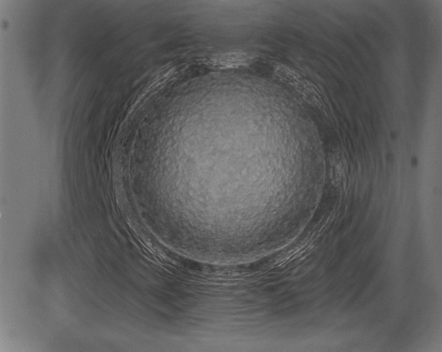 X0000081381393200701111440