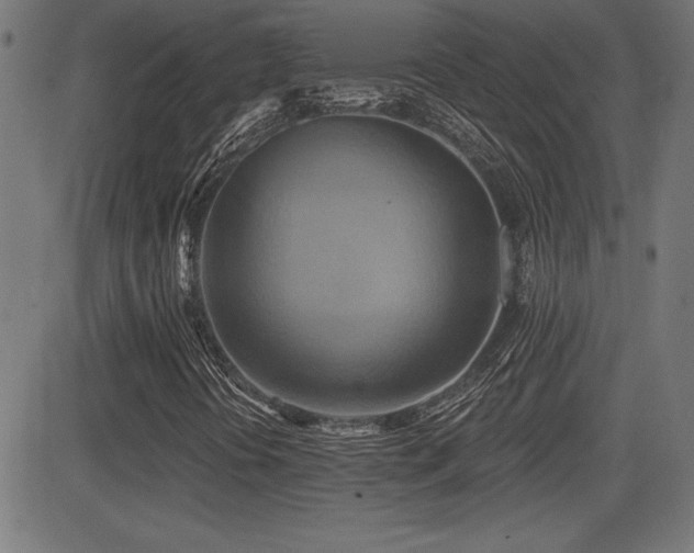 X0000081381394200701111440