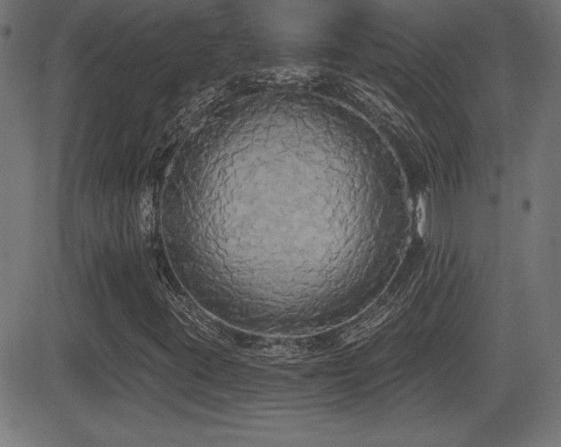 X0000081381395200701111440