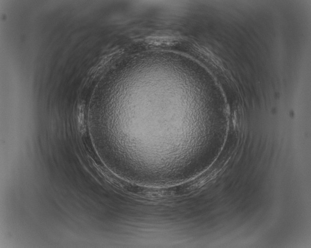 X0000081381396200701111440