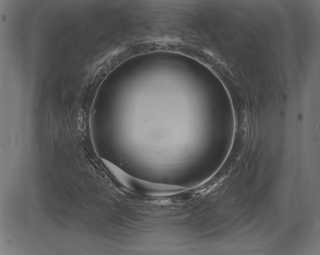 X0000081381398200701111440