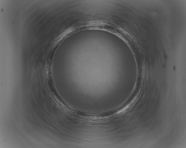X0000081381401200701111440