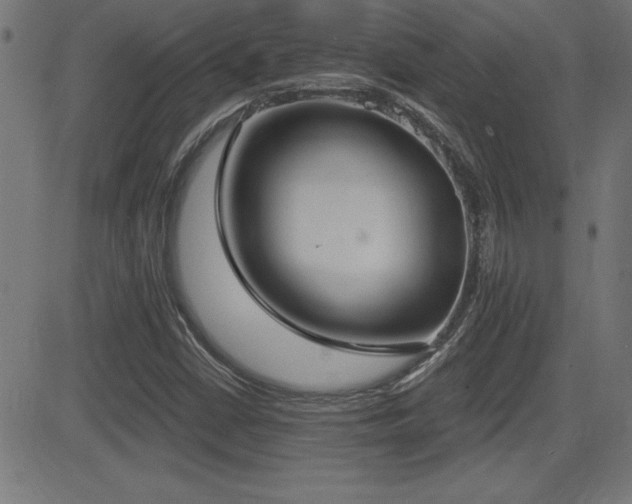 X0000081381402200701111440