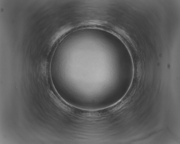 X0000081381404200701111440