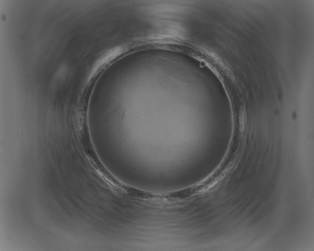X0000081381405200701111440
