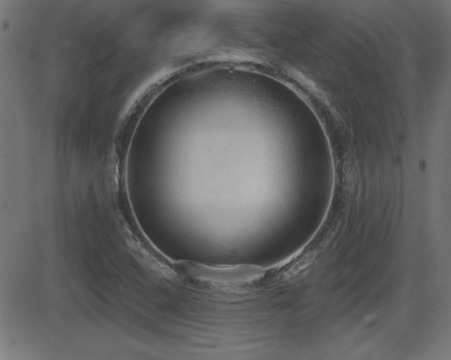 X0000081381408200701111440