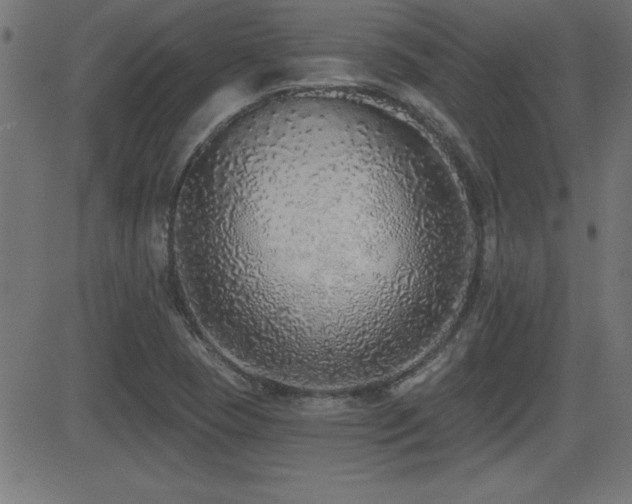X0000081381409200701111440