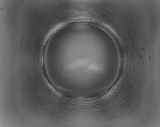 X0000081381413200701111440