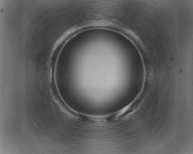 X0000081381414200701111440