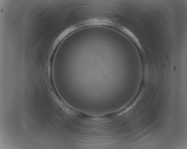 X0000081381419200701111441