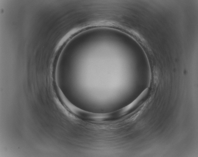 X0000081381422200701111441