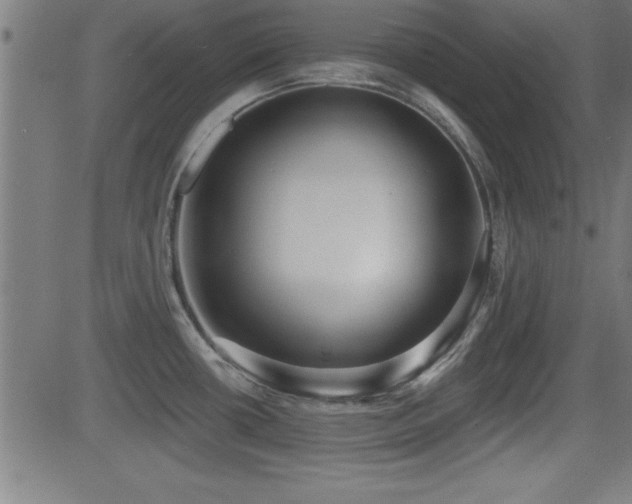 X0000081381434200701111441