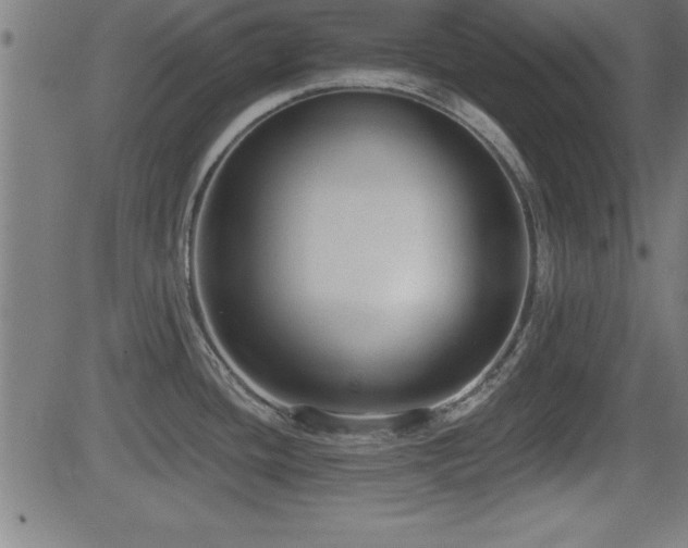 X0000081381436200701111441