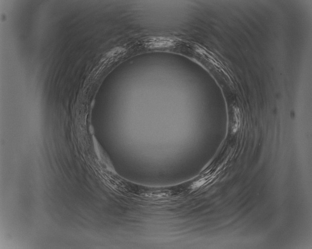X0000081381441200701111440