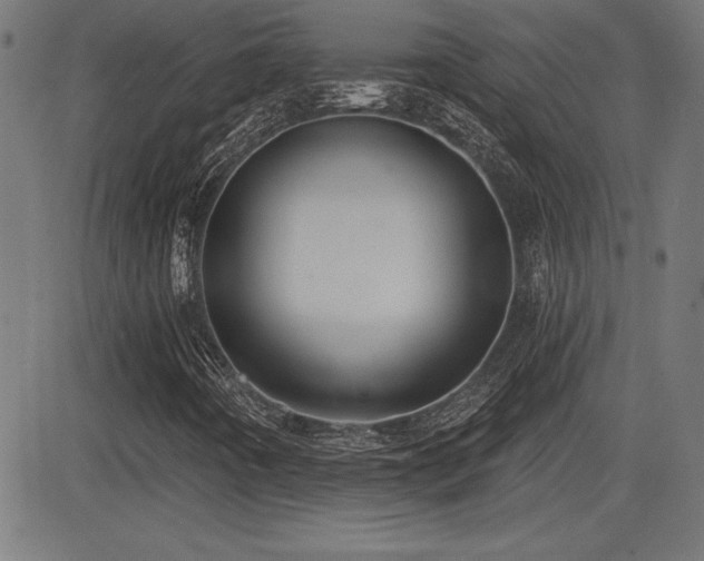 X0000081381442200701111440