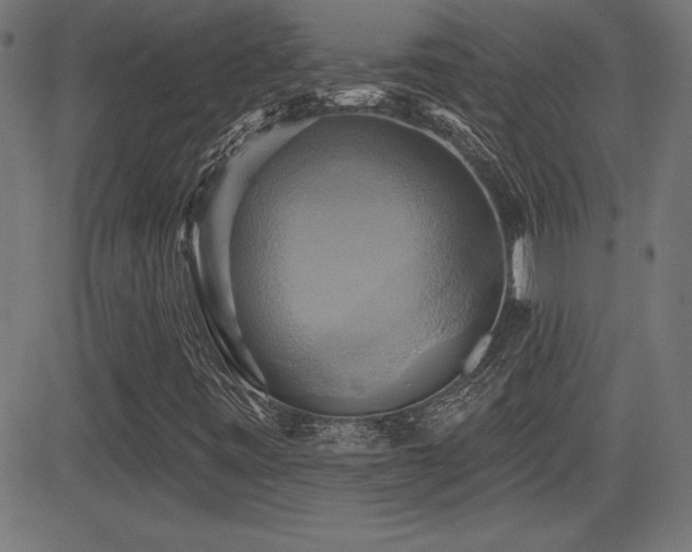X0000081381443200701111440