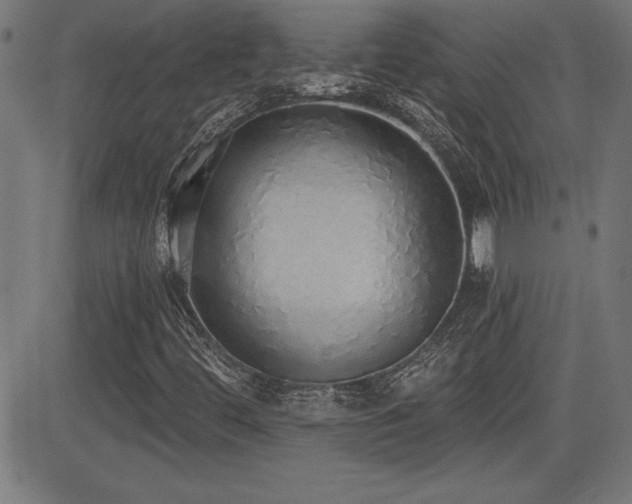 X0000081381444200701111440