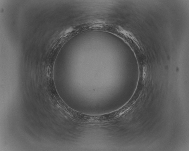 X0000081381445200701111440