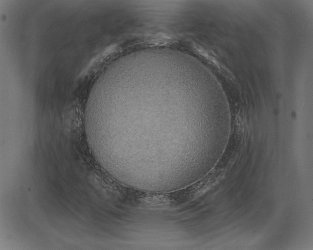 X0000081381447200701111440