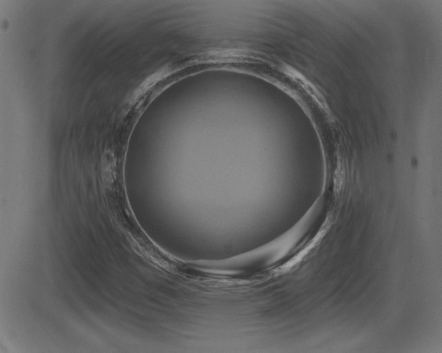 X0000081381449200701111440