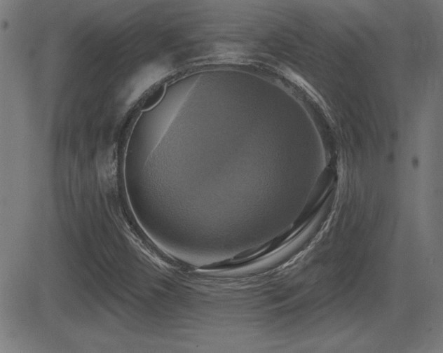 X0000081381450200701111440