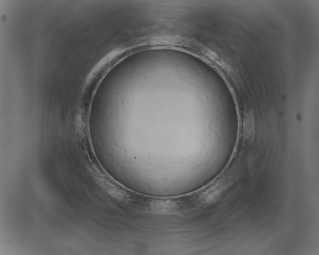 X0000081381454200701111440