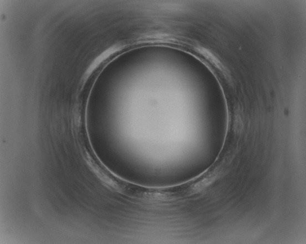 X0000081381458200701111440