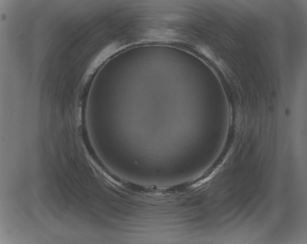 X0000081381459200701111440