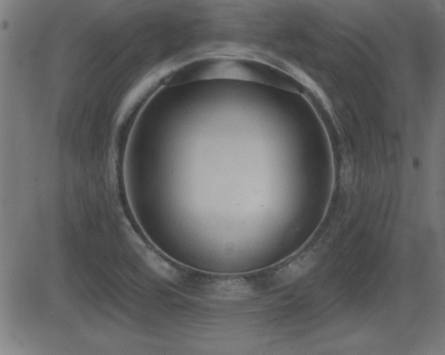 X0000081381464200701111440