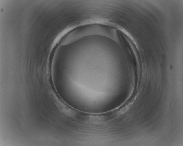 X0000081381469200701111440