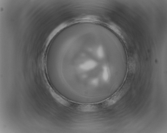 X0000081381474200701111440